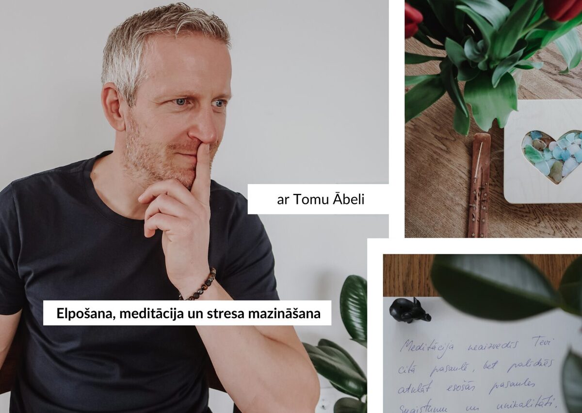 Toms_abele_creatives__148_x_105_px___1480_x_1050_px_.jpg
